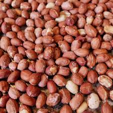 Roasted Peanuts